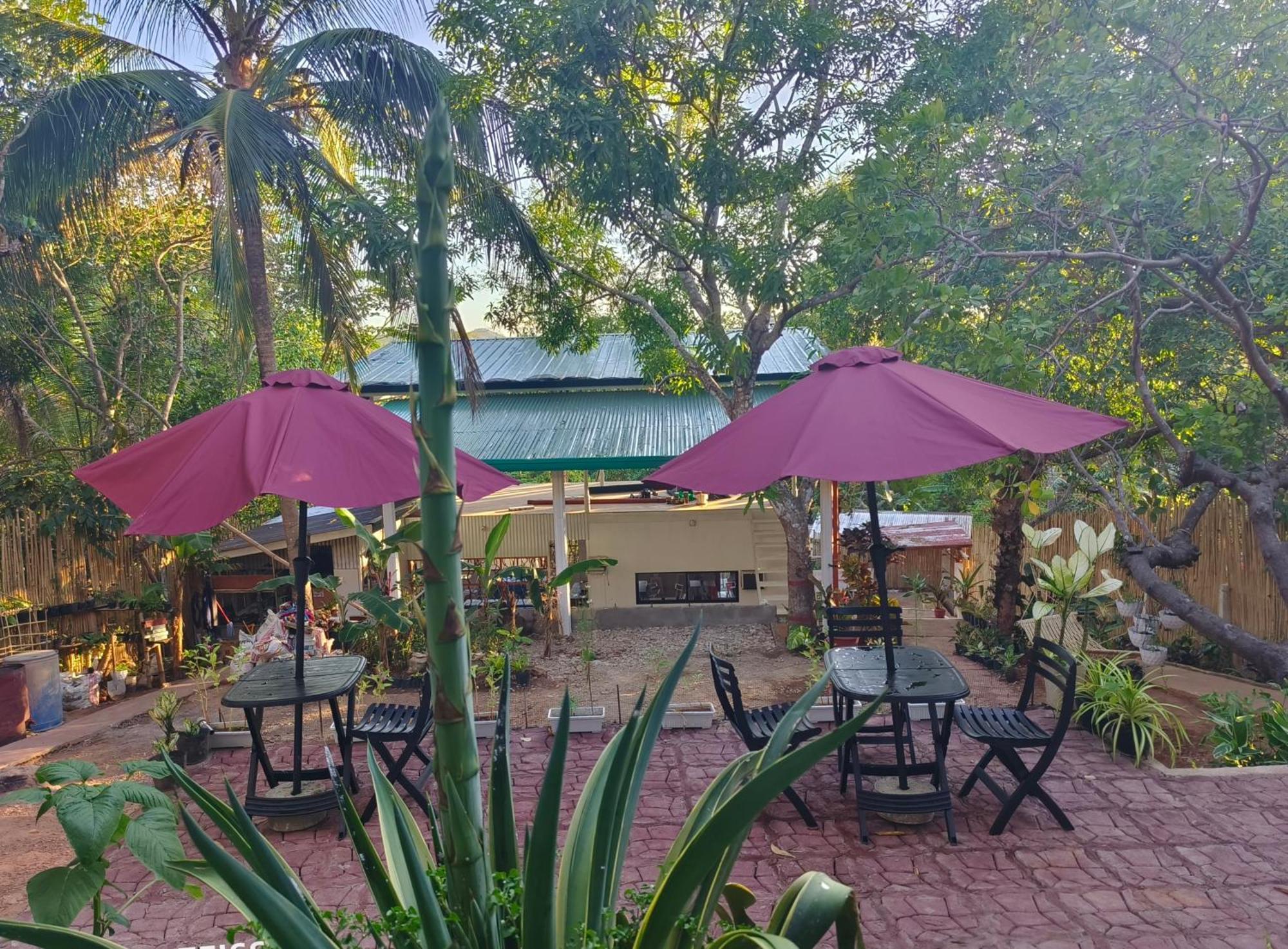 كورون Ani Marie Guest House المظهر الخارجي الصورة