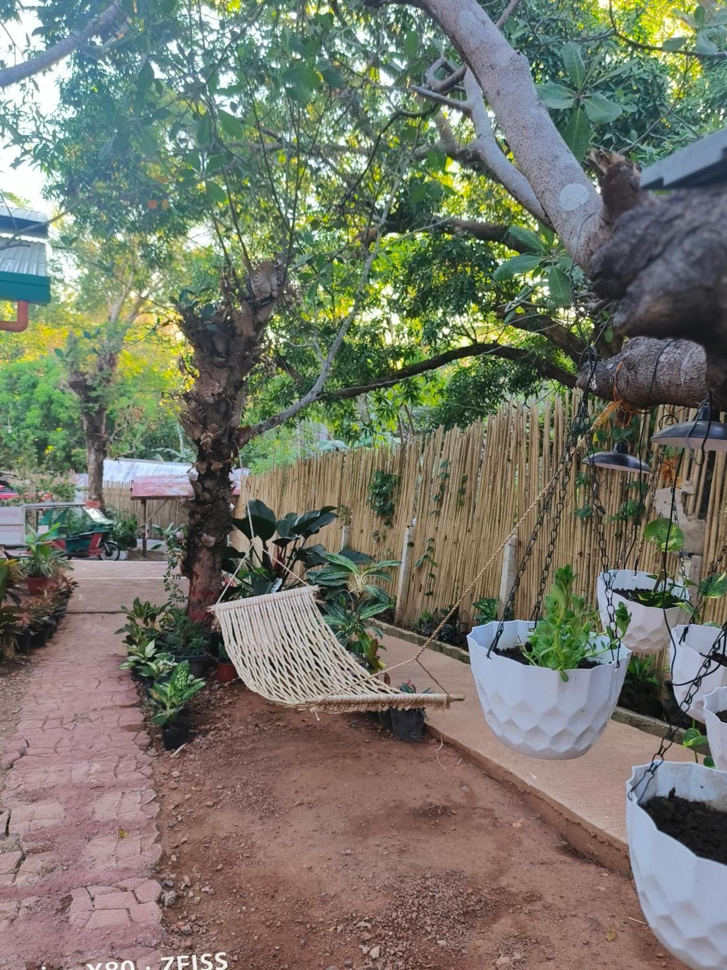 كورون Ani Marie Guest House المظهر الخارجي الصورة